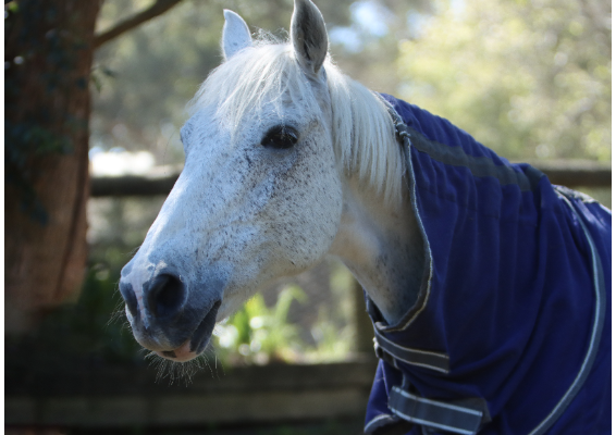 Voucher Template 12057