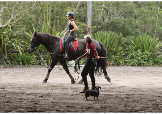 Voucher Template 12051