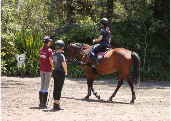 Voucher Template 12052